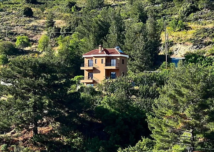 Callione - Amazing View *