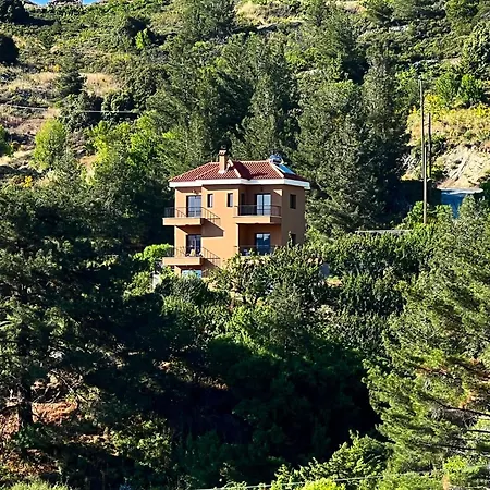 Callione - Amazing View *